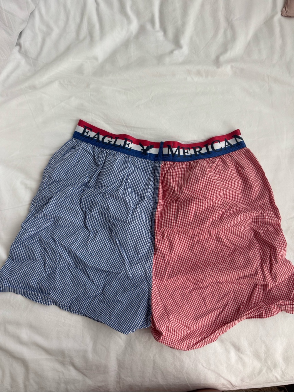 American Eagle Outfitters red and blue gingham cotton boxer shorts in a S